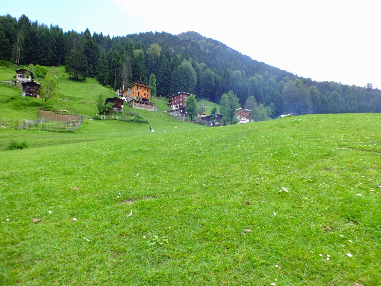 DOĞU KARADENİZ GEZİ REHBERİ