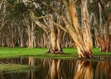 MÜZİK KUTUSU / ŞİİR DENEMESİ