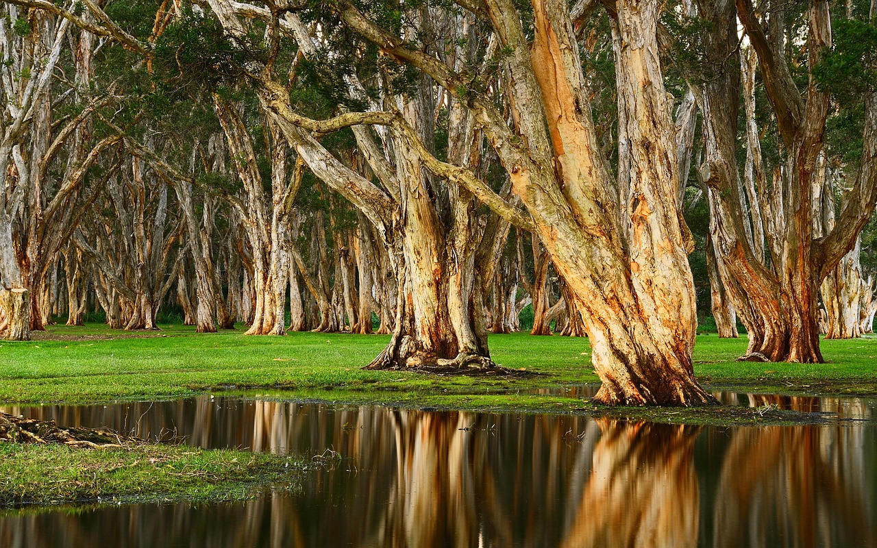 MÜZİK KUTUSU / ŞİİR DENEMESİ